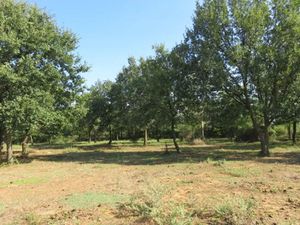 Vente terrain 273 m² à Montignargues (30190)  76 900 €