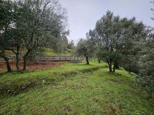 Vente terrain 2151 m² à Berre-les-Alpes (06390)  165 000 €