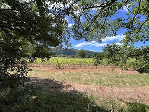 Vente terrain 1800 m² à Rustrel (84400)  185 000 €