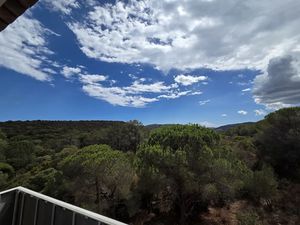 Location appartement 3 pièces 74 m² à Porto-Vecchio (20137)  915 €