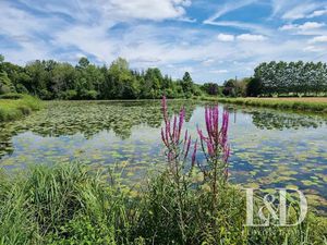 Vente maison 7 pièces 265 m² à Voulaines-les-Templiers (21290)  253 000 €