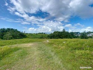 Terrain 5194 m² BAIE MAHAULT