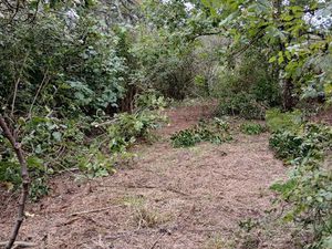 Terrain construtible