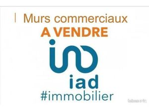 Vente locaux professionnels 109 m² à Saujon (17600)  132 000 €