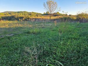 Terrain 635 m² Garrigues