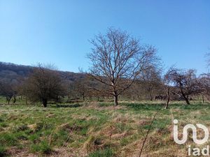 en vente Terrain constructible 17 15 ares – 44 000 € |Commercy
