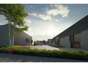 Commercieel te koop in Anzegem