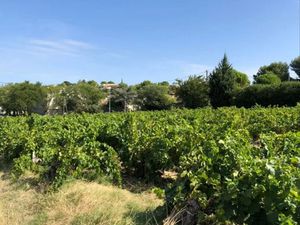 Vente terrain 489 m² à Vacqueyras (84190)  109 000 €