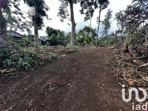 Vente terrain 446 m² à La plaine des cafres (97418)  148 000 €