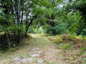 PROPRIETE BOISEE A VENDRE SELLES SUR CHER