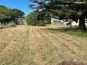 Ile d'oleron terrain 300 m de l' ocean 2300 m2 Divisible