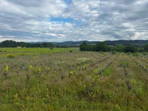 Terrain constructible viabilisé à vendre