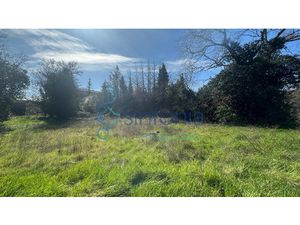Grand Terrain constructible 2 000 M2 proche Uzès