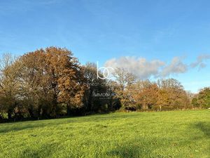 Achat Terrain 15 736m² BERRIC 56230