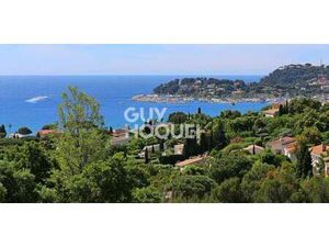 Terrain Nord - Cavalaire-sur-Mer (83)