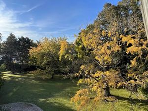 Vente propriété 16 pièces 600 m² à Louveciennes (78430)  2 950 000 €