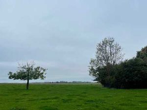 Terrain au Bois de Goesnes  Marchin