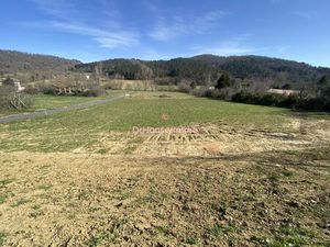 Terrain de 1 hectare : 4671 m² composé de 4 lots viabilisés et 5000 m² cloturé près pour d