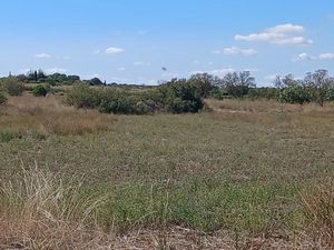 Vente terrain 247 m² à Pinet (34850)  94 000 €