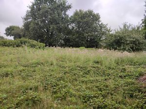 AVENDRE - SOQUET IMMOBILIER - TERRAIN DE LOISIRS 1720 m2- LA