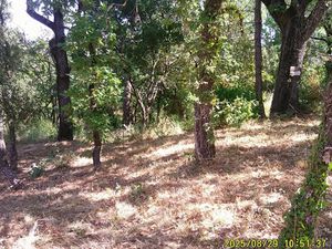 Vente terrain 1200 m² à Les Mayons (83340)  180 000 €