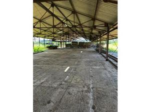 A LOUER Les trois Ilets  depot de 500m2  Martinique
