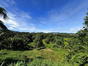 EXCLUSIVITE: Terrain constructible viabilisé à vendre  Guadeloupe