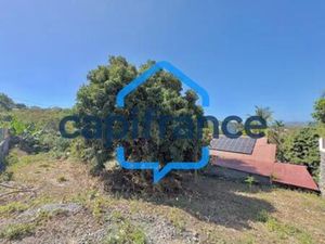 À Vendre – Terrain à la Rivière Saint-Louis (97421)  Réunion