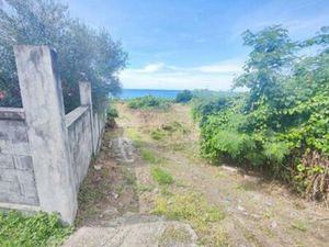 À Vendre : Magnifique Terrain avec Vue Mer à Vieux-Habitants – 2 265 m²  Guadeloupe
