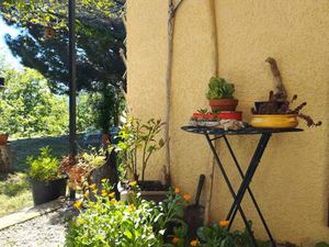 Domaine viticole dans les Fenouillèdes