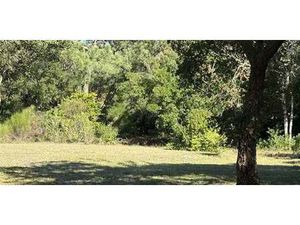 Terrain en bord de mer Hossegor (40)