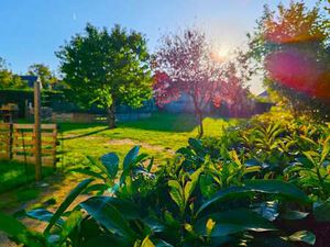 Vente Maison à Baugé (49150) : à vendre / 140m² Baugé