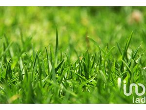 Vente terrain 877 m² à Saint-Magne-de-Castillon (33350)  43 000 €