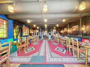 efficity Elvire Cizel