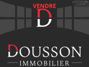 Vente locaux professionnels 60 m² à Le Grau-du-Roi (30240)  129 000 €