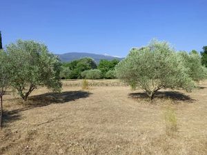 Vente terrain à batir 1800 m² à Bédoin (84410)  265 000 €