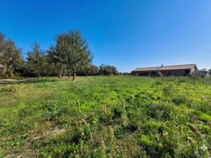 Vente terrain 1050 m² à Longages (31410)  85 000 €
