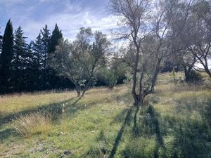 Vente terrain 515 m² à Valflaunès (34270)  219 900 €