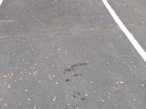 Location parking - Hôpital