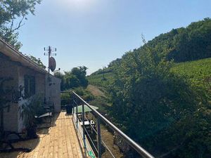 Maison avec vue sur les vignes