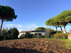 Terrain LE BOIS PLAGE EN RE (17580)