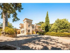 Vente château 9 pièces