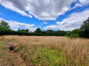 Vente terrain 4279 m² Albi (81000)