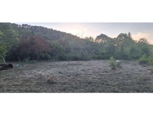 Vente terrain 540 m² à Carnoules (83660)  165 000 €