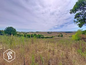Achat Terrain 8 000m² CARAMAN 31460