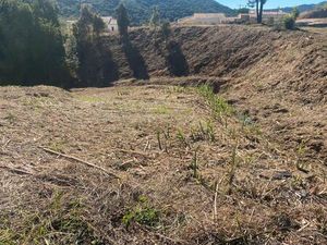 Terrain 1700 mètres viabilisé