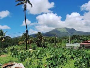 Terrain 1500 m² Le Morne-Rouge