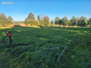 Terrain plat en bordure de route