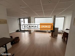 Local d'activité 294 m²