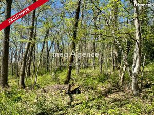 Terrain 4400 m² CHANCELADE